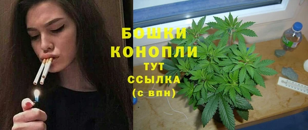 индика Заводоуковск